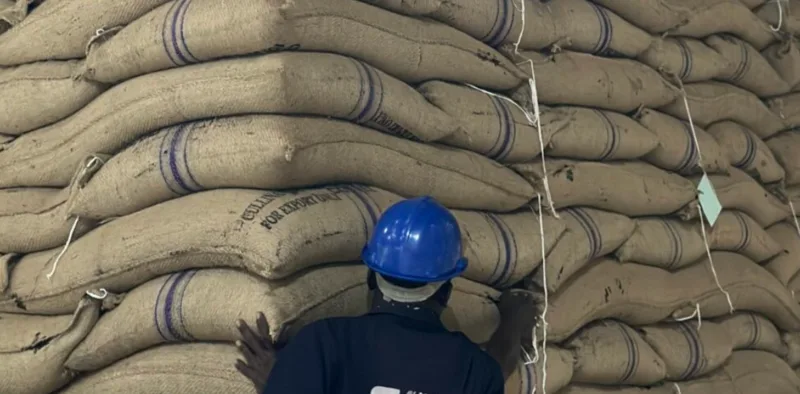 Worker stacking bagged coffee ready for export